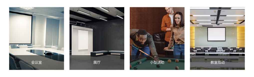lion v1212n应用场景.png